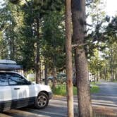 Review photo of Madison Campground — Yellowstone National Park by Michael K., September 19, 2018