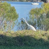 Review photo of St. Andrews State Park Campground by Debbie V., December 8, 2022