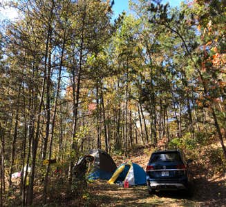 Camper-submitted photo from Stokesville Campground 