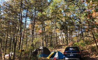 Chris S.'s photo at Stokesville Campground near Hinton, VA