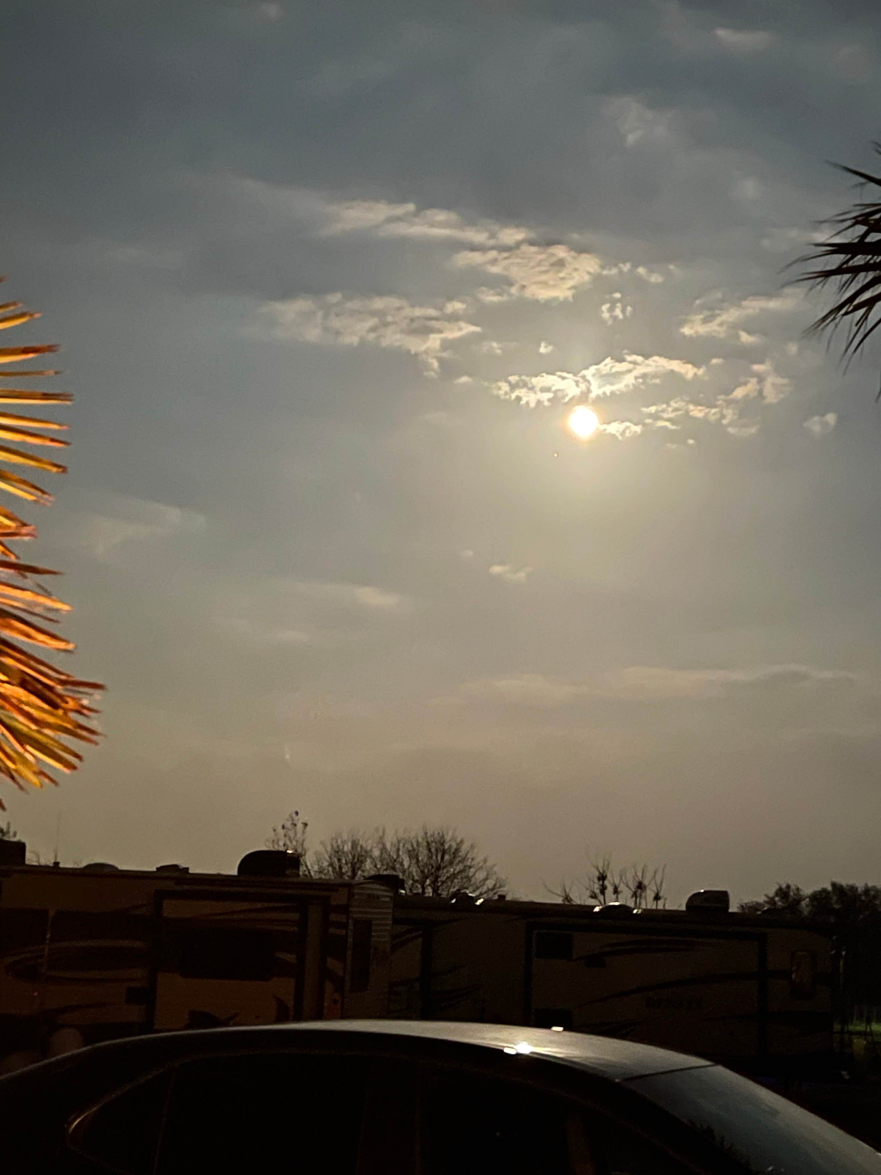 Camper-submitted photo at Tranquil Gardens RV Park near Killeen, TX