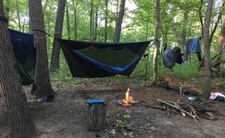 John B.'s photo of tent camping at Zaleski State Forest near Athens, OH