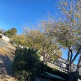 Review photo of Banning Stagecoach KOA by Missy C., December 8, 2022