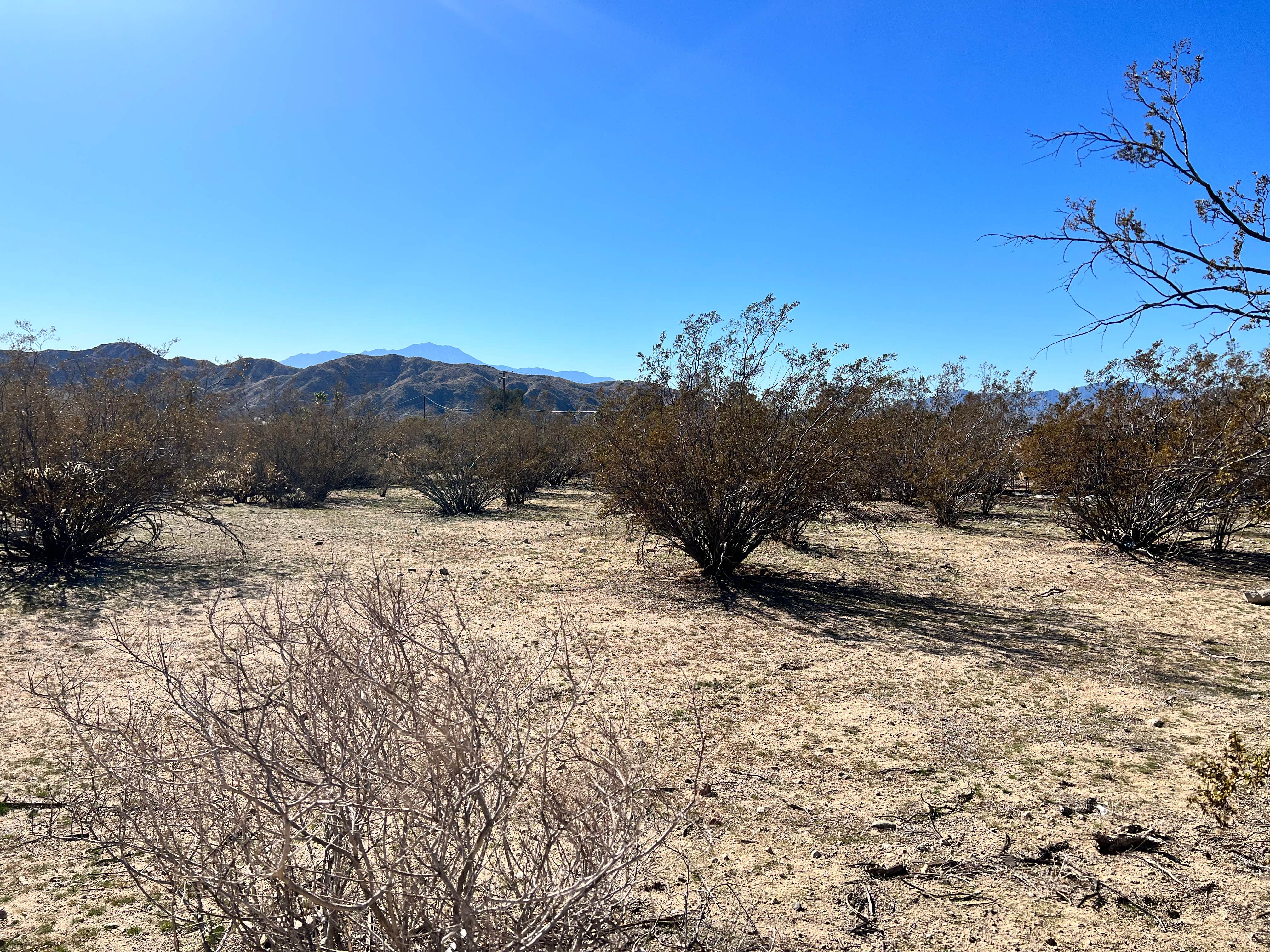 Camping near Pioneertown Corrals: Vacation Station, Morongo Valley, California