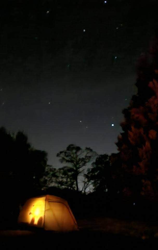 Kathi J.'s photo at Hiwassee Acres near Sale Creek, TN