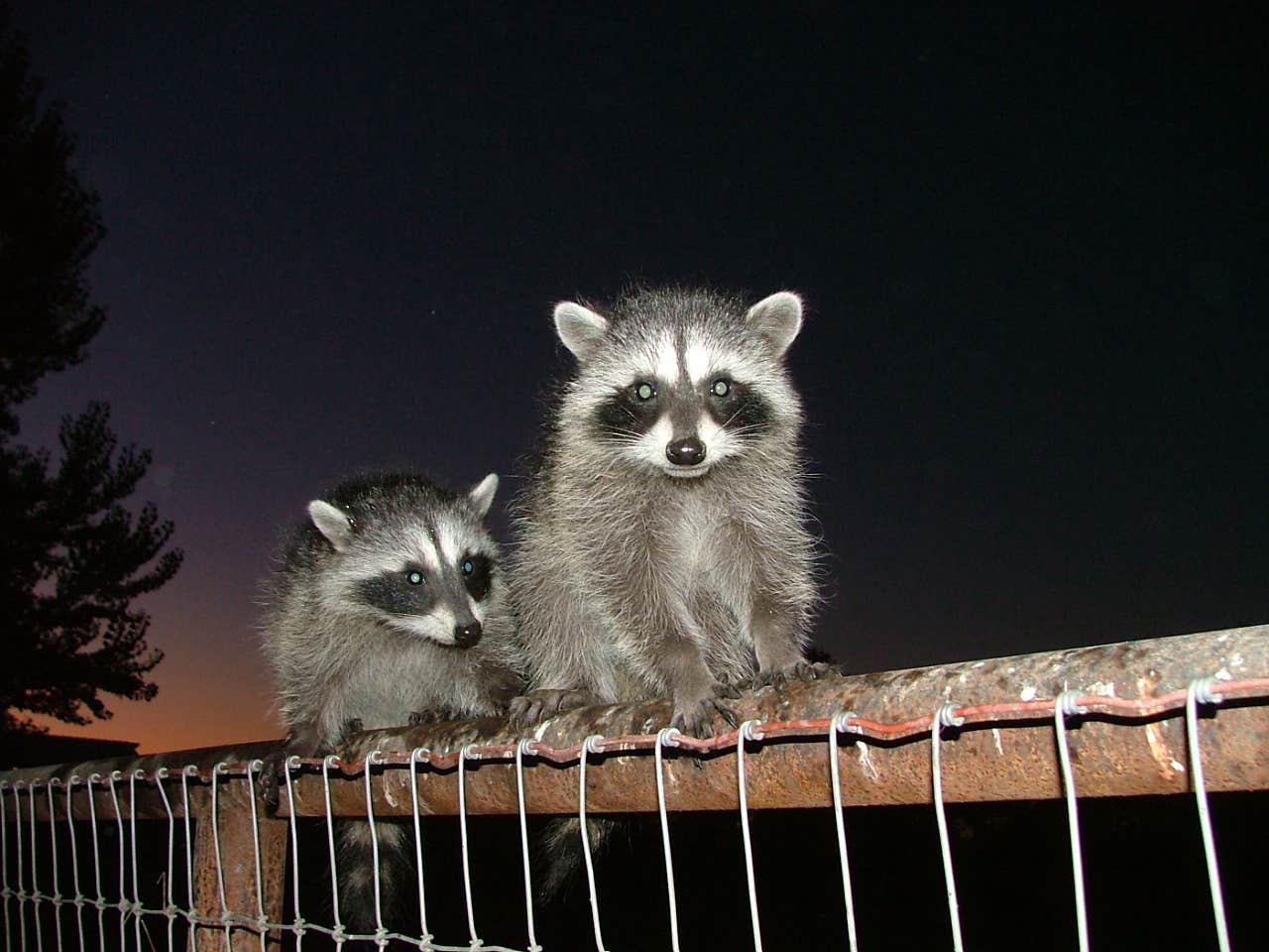 Camper-submitted photo at Riverbend Campground near Stratford, CA