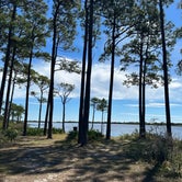 Review photo of Topsail Hill Preserve State Park Campground by Cheryl , December 8, 2022