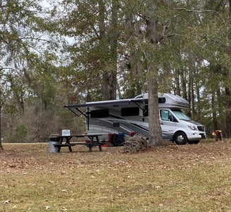 Camper-submitted photo from Pinchona Farm