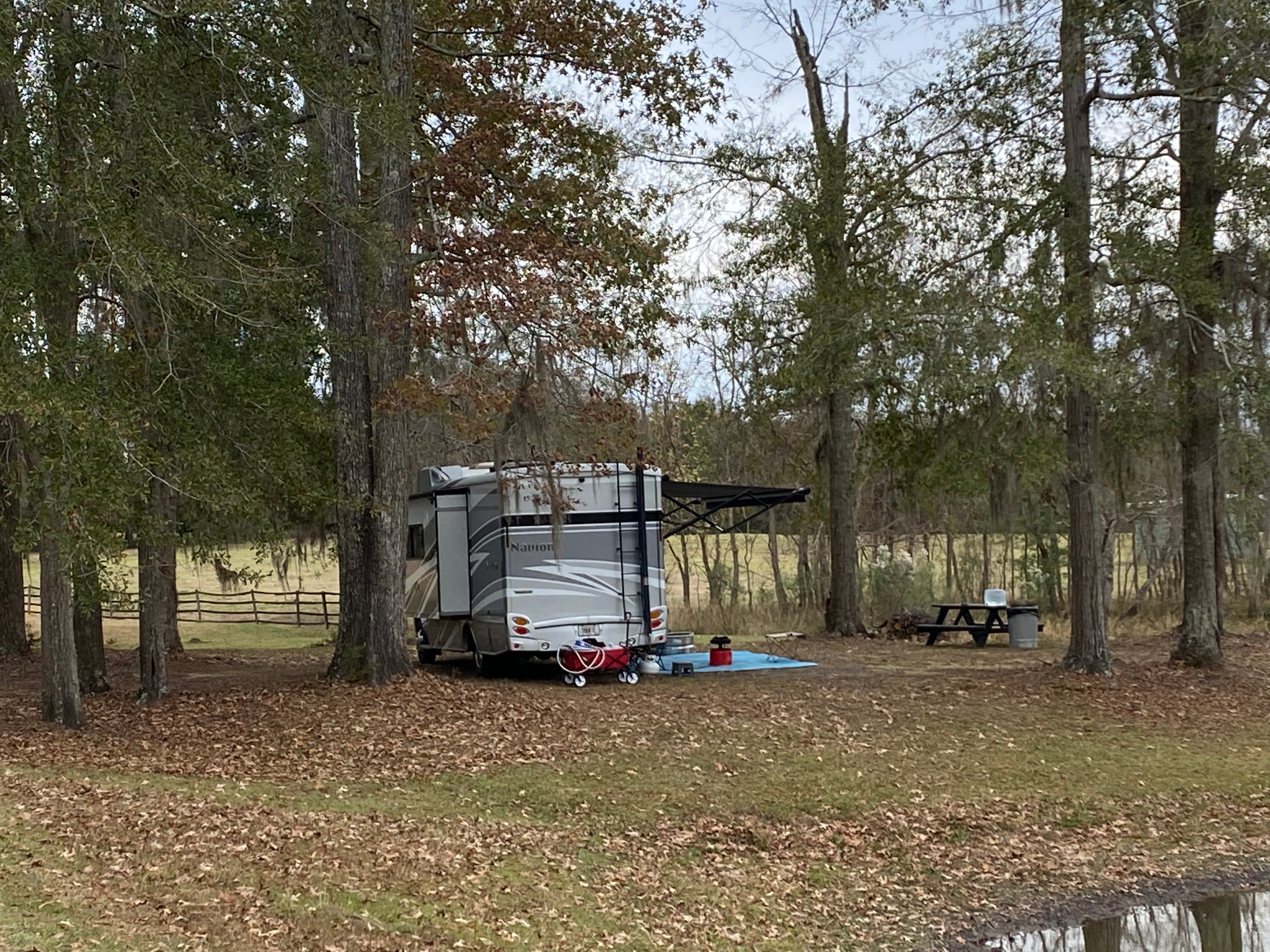Camper submitted image from Pinchona Farm - 2