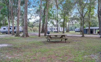 The Dyrt's photo at Suwannee RV Campground Retreat near Bell, FL