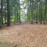 Review photo of Umbagog Lake State Park Campground by Jean C., September 19, 2018