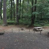 Review photo of Henry Rierson Spruce Run Campground by Bjorn S., September 19, 2018