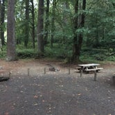 Review photo of Henry Rierson Spruce Run Campground by Bjorn S., September 19, 2018
