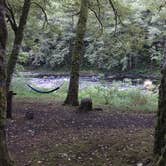 Review photo of Henry Rierson Spruce Run Campground by Bjorn S., September 19, 2018