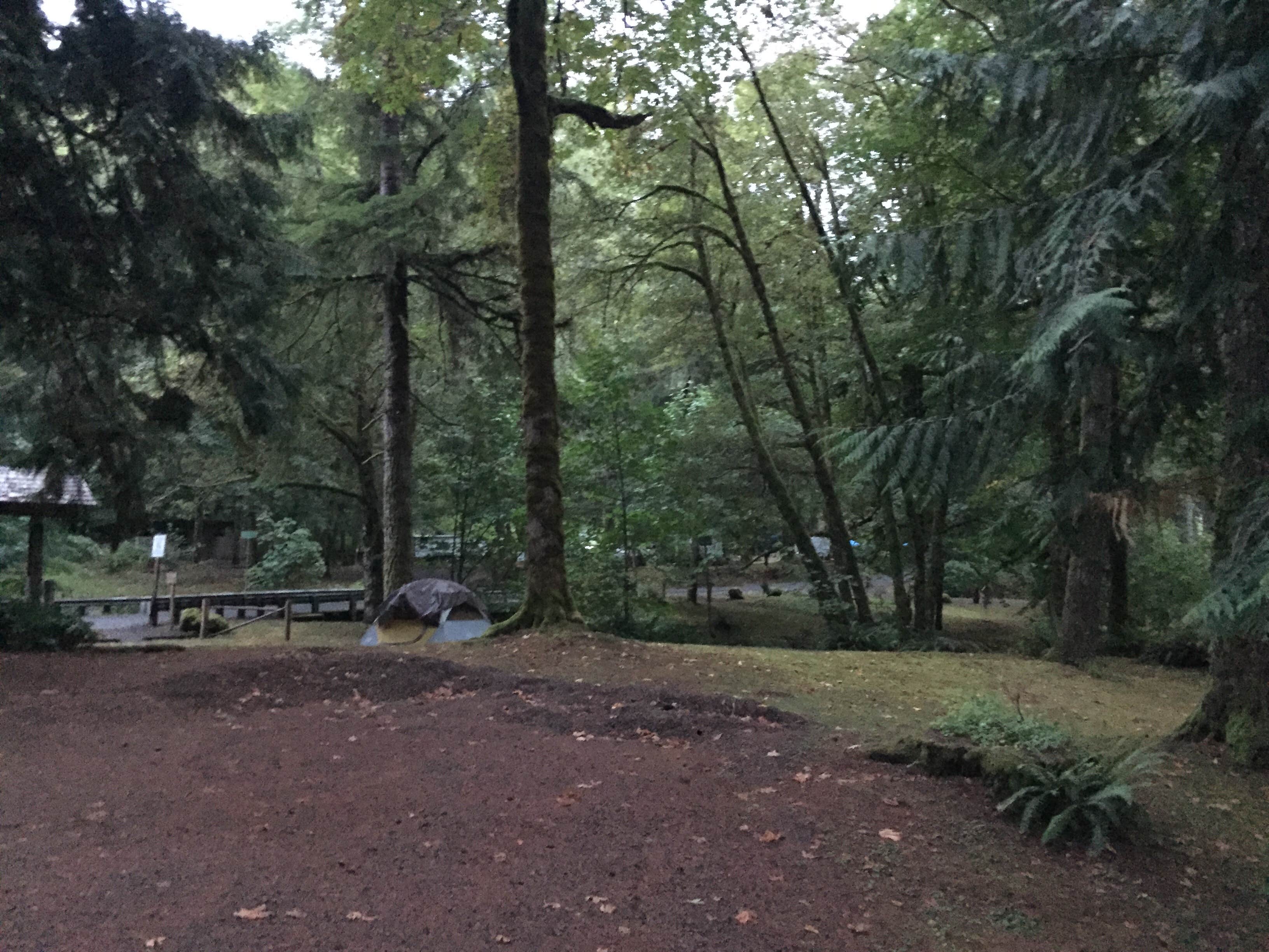 Bjorn S.'s photo at Henry Rierson Spruce Run Campground near Seaside, OR