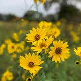 Review photo of William G. Lunney Lake Farm Campground (Dane County Park) by Lee D., September 19, 2018