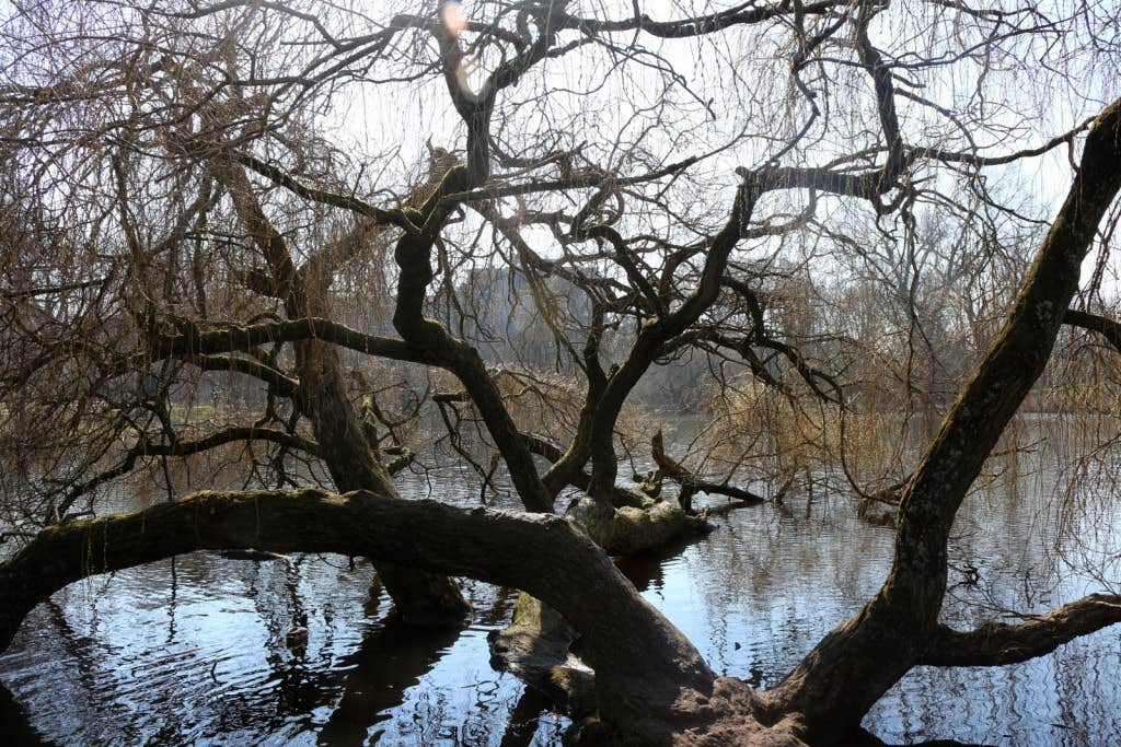 Camper-submitted photo at Grapevine near Long Creek, SC