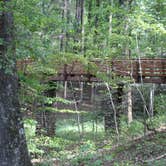 Review photo of Paris Mountain State Park Campground by Bounding Around , September 19, 2018