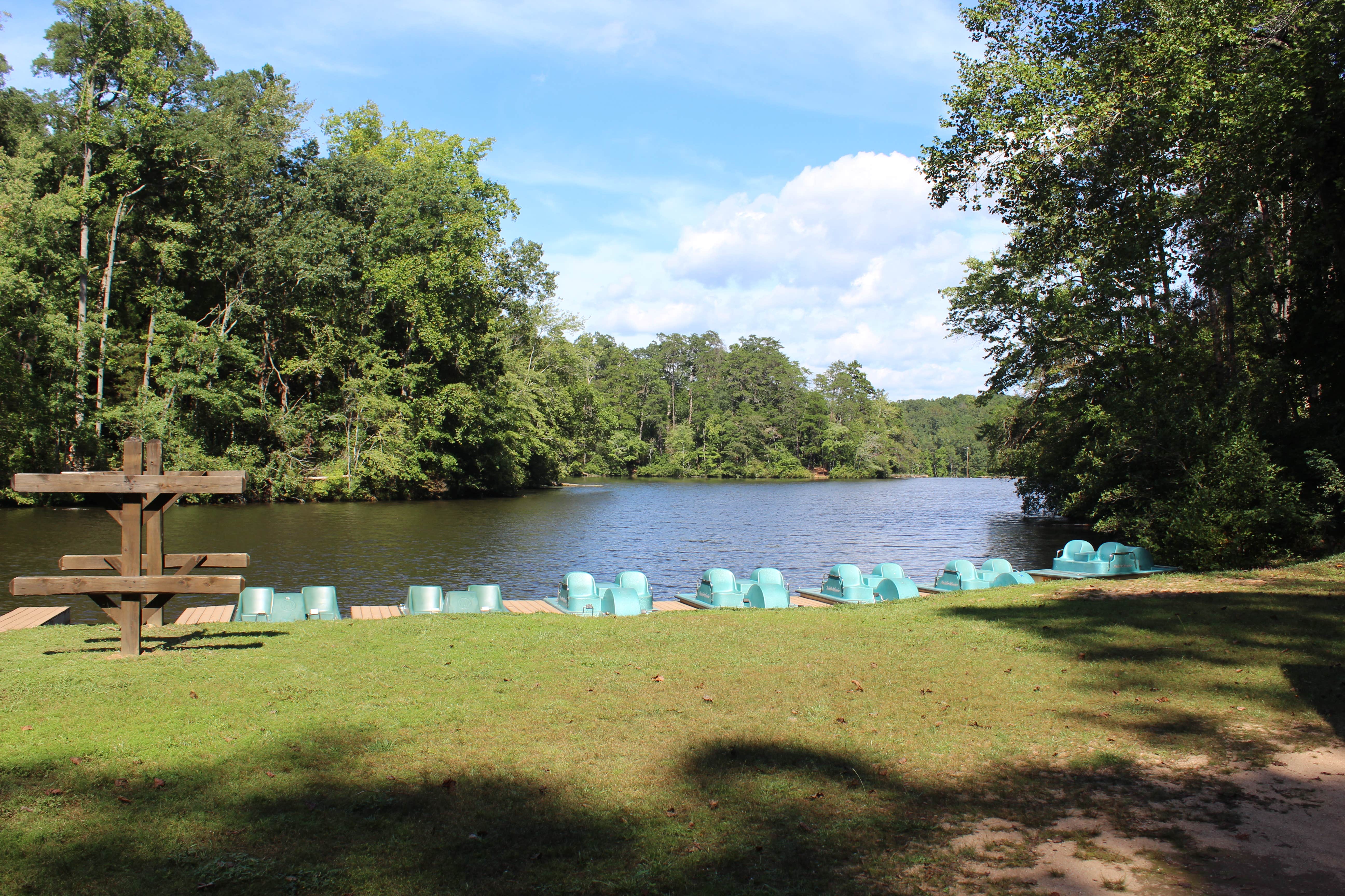 Camper submitted image from Paris Mountain State Park Campground - 5