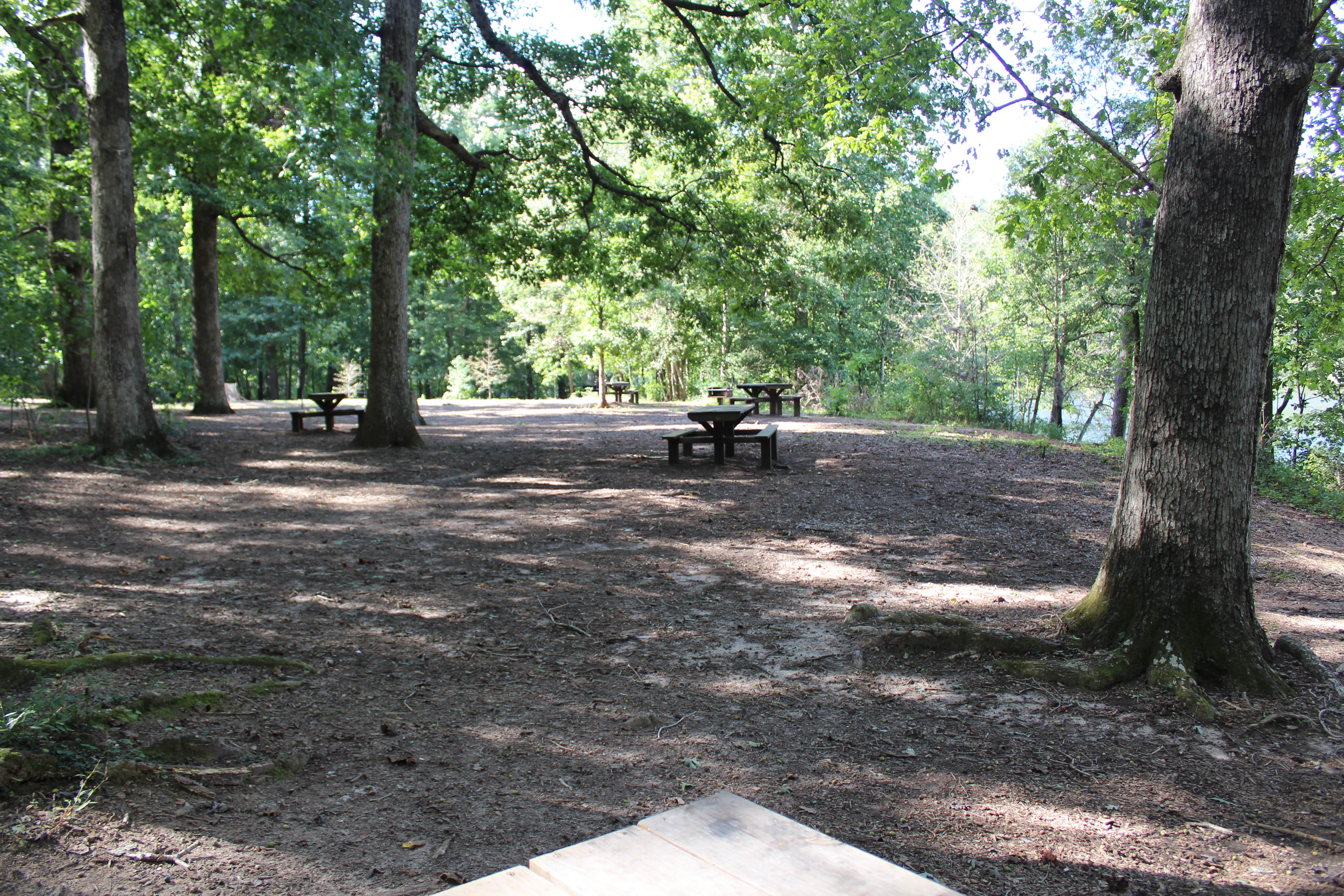 Picnic tables by the lake