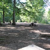 Review photo of Paris Mountain State Park Campground by Bounding Around , September 19, 2018