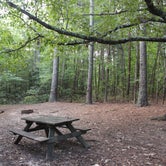 Review photo of Paris Mountain State Park Campground by Bounding Around , September 19, 2018
