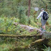 Review photo of Hoh Rain Forest - Olympic National Park by Rachel B., August 9, 2016