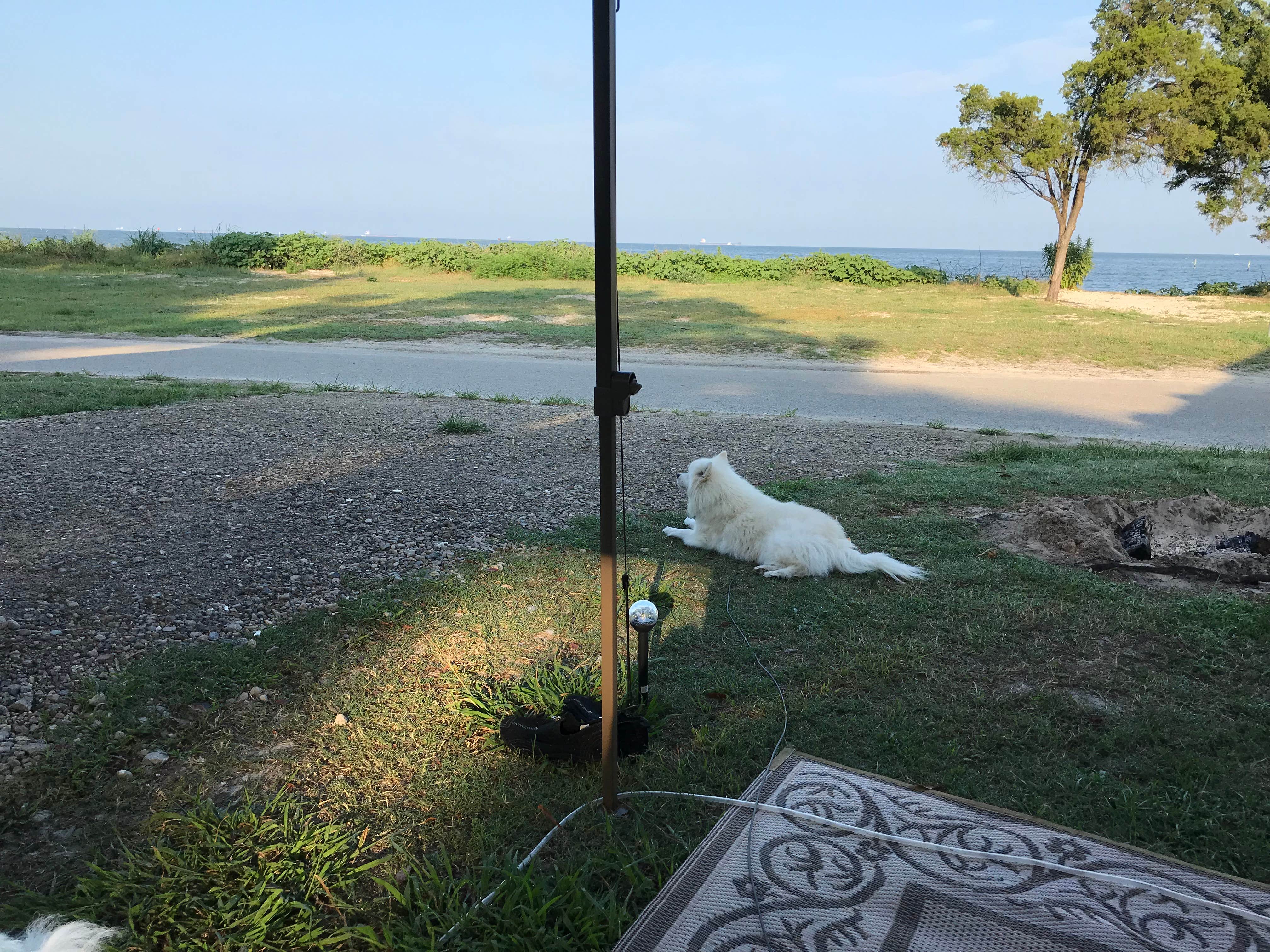 Darcy S.'s photo of camping with pets at Sun Outdoors Cape Charles near Hampton, VA