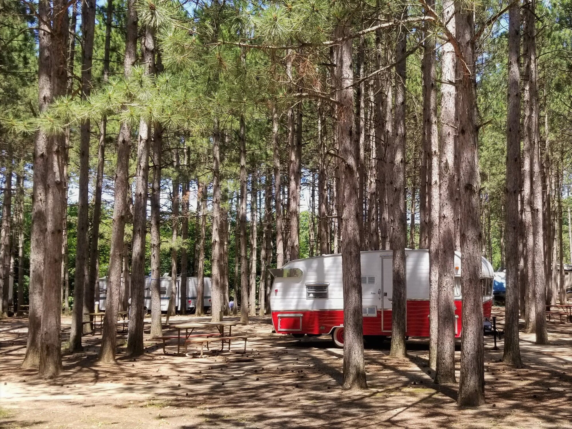 Camper submitted image from Dell Pines Campground, LLC - 1