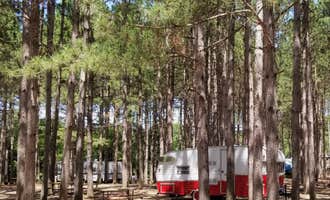 Camping near Fox Hill RV Park & Campground: Dell Pines Campground, LLC, Lake Delton, Wisconsin