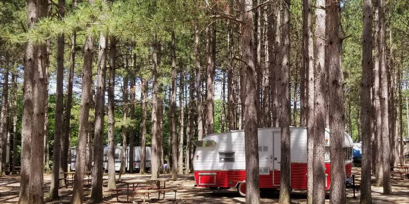 Camper submitted image from Dell Pines Campground, LLC