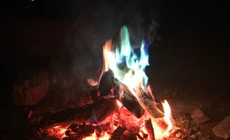 Darcy S.'s photo at Buttonwood Campground near Shermans Dale, PA