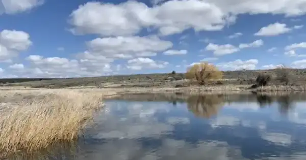 Justesen Ranches - Upper Twin Lakes