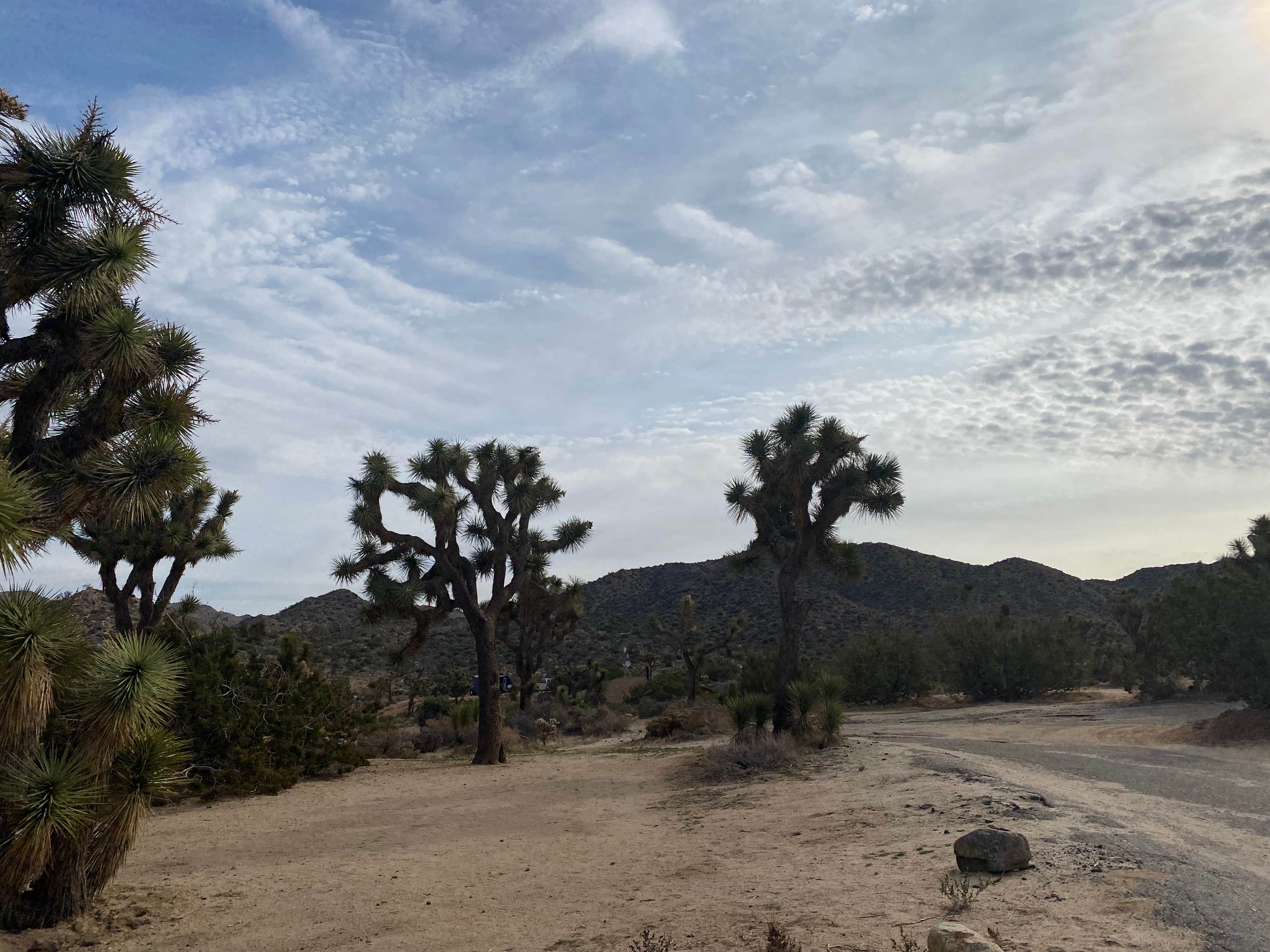 Camper-submitted photo at Black Rock Campground near Berry Creek, CA