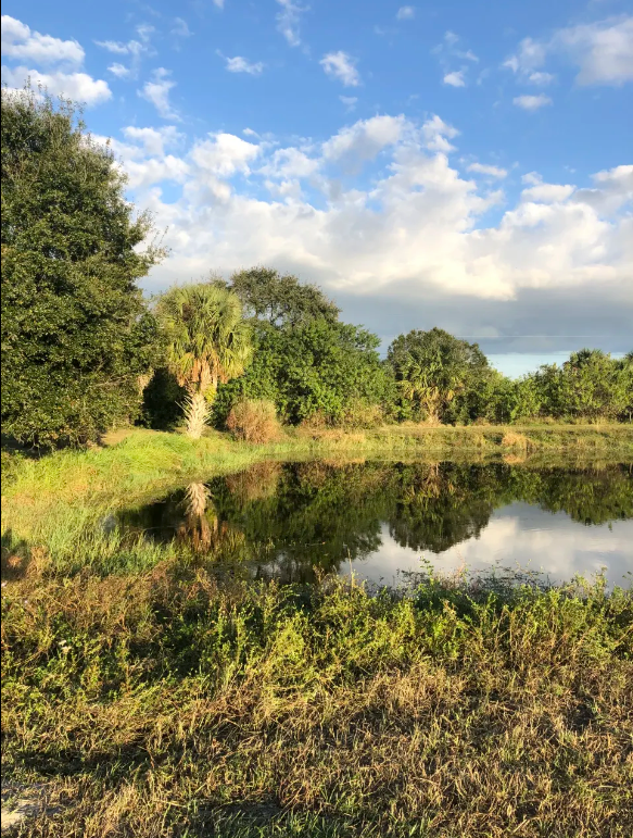 Camping near Fort Pierce West KOA: Deos Fortioribus Adesse, Port St. Lucie, Florida