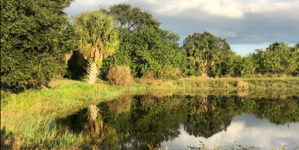 Camper submitted image from Deos Fortioribus Adesse