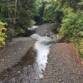 Review photo of Cook Creek by Bjorn S., September 20, 2018