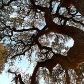 Review photo of Airport Park - Waco Lake by Jessica F., December 9, 2022