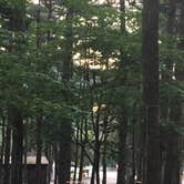 Review photo of Knoebels Campground by Wendy S., September 20, 2018