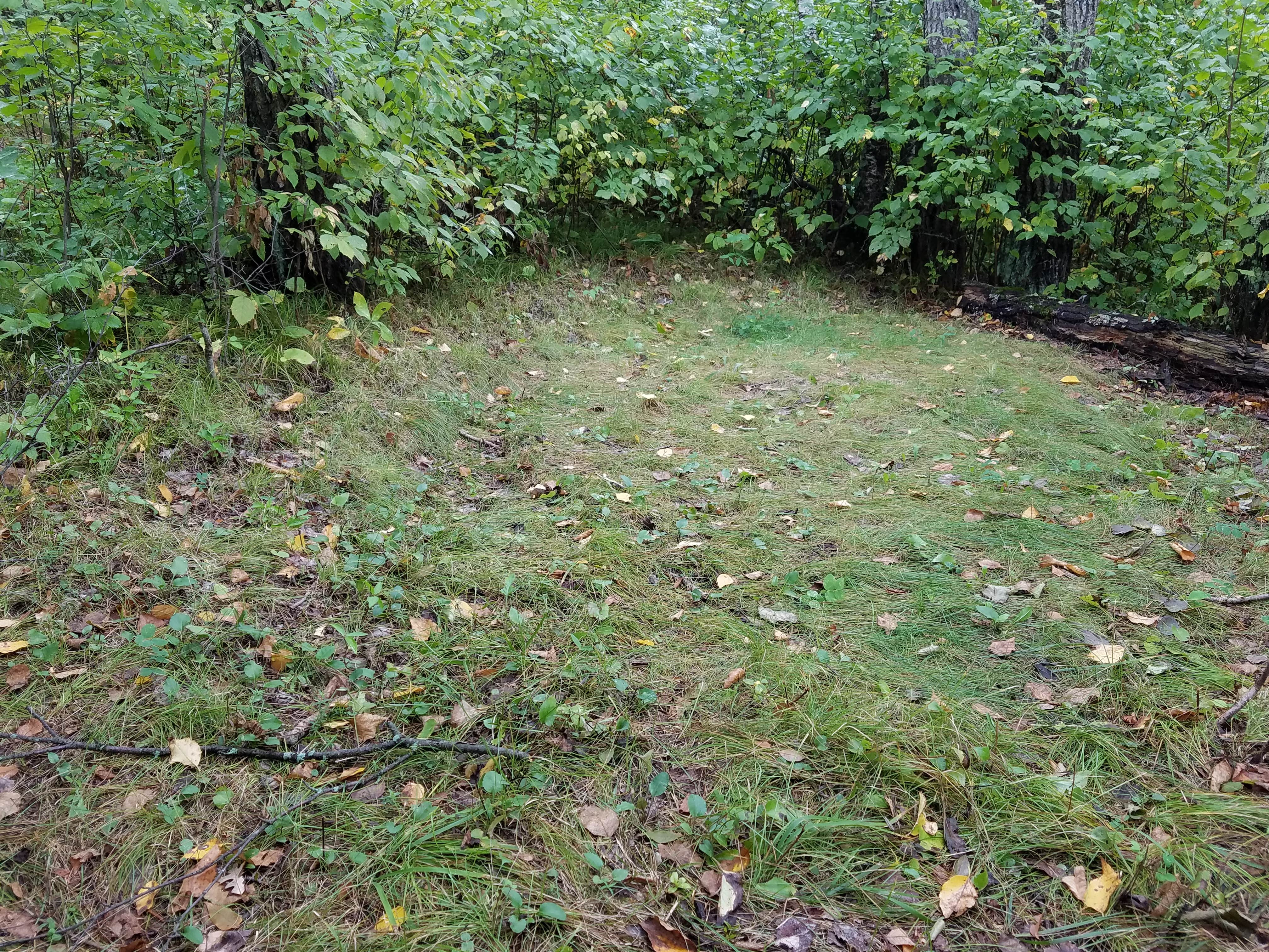 Camping near Hungry Man Forest Campground: Gardner Lake Campsite, Park Rapids, Minnesota