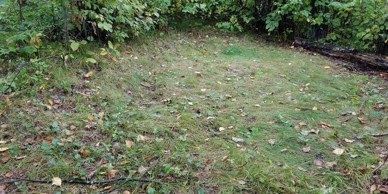 Camper submitted image from Gardner Lake Campsite