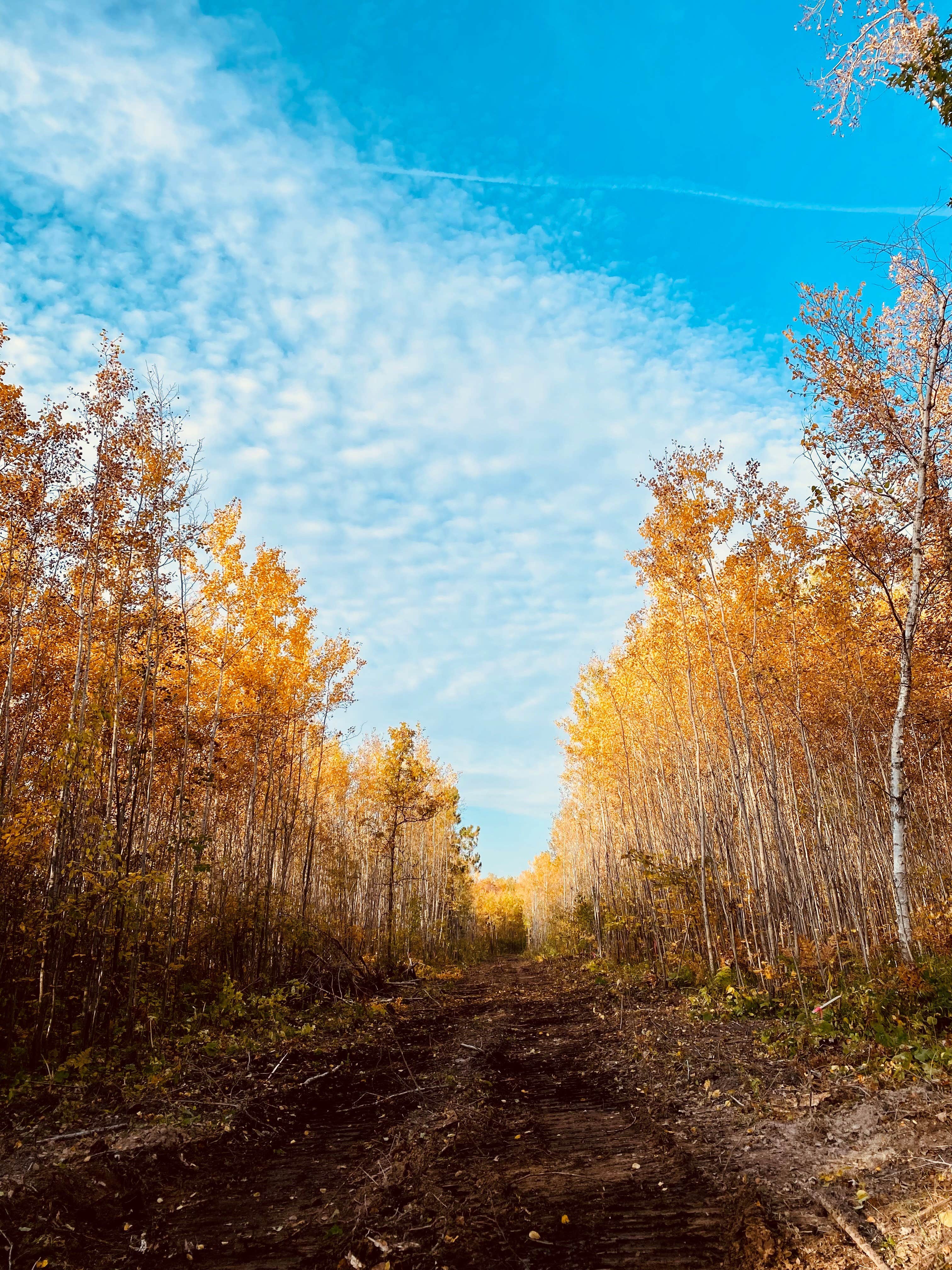 Camper-submitted photo at Cuyuna Range Campground near Pequot Lakes, MN