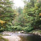 Review photo of Winhall Brook Camping Area - TEMPORARILY CLOSED by Jennifer D., September 20, 2018