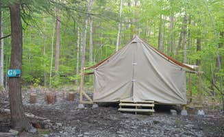 The Dyrt's photo at Lakeside Campground near Thompson, PA