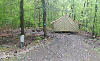 The Dyrt's photo at Lakeside Campground near Kirkwood, NY