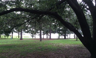 Camping near Stage Stop Campground: Bill Frederick Park at Turkey Lake, Windermere, Florida