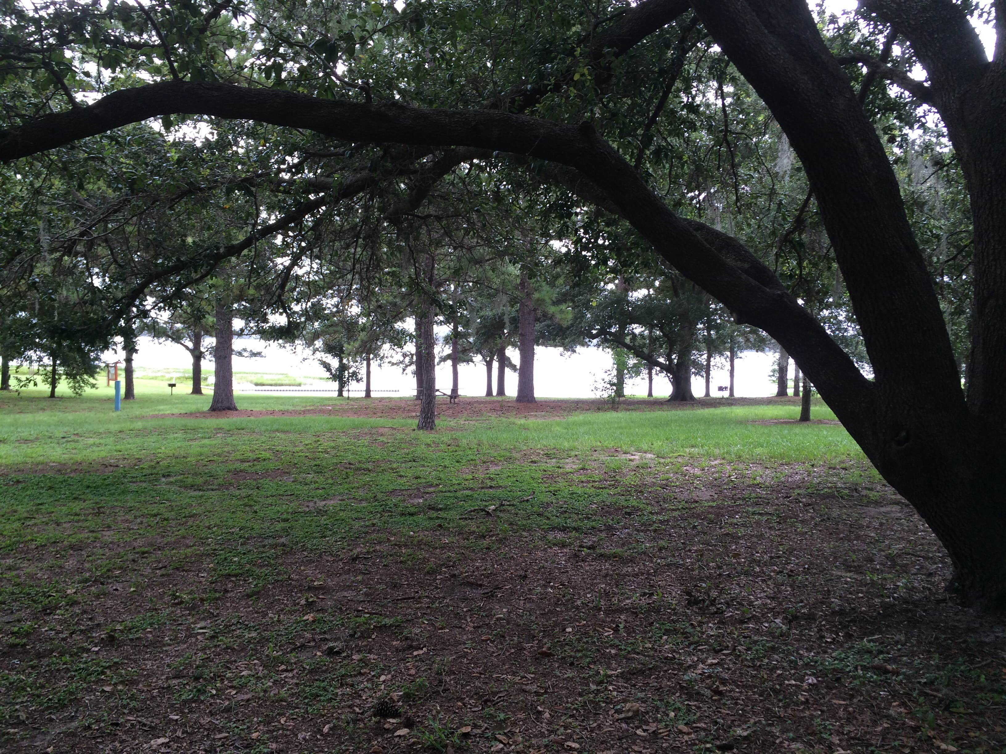 Camper submitted image from Bill Frederick Park at Turkey Lake - 1