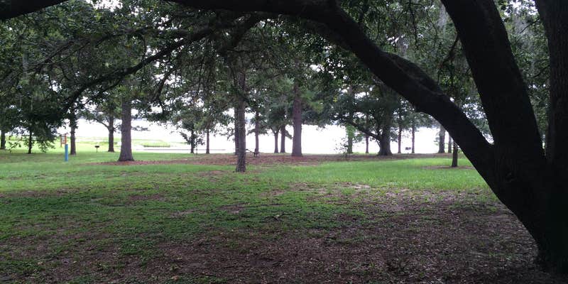 Camper submitted image from Bill Frederick Park at Turkey Lake