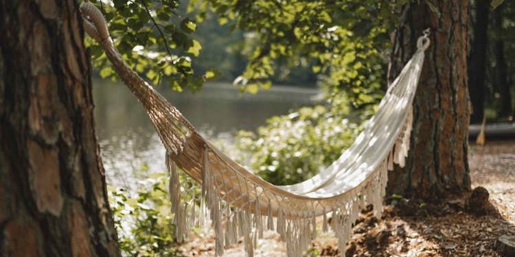 Camper submitted image from RamsdenLake