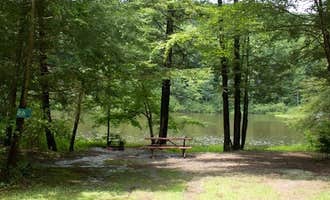 Camping near Oasis in the woods by the family tree: Lakeside Campground, Windsor, New York